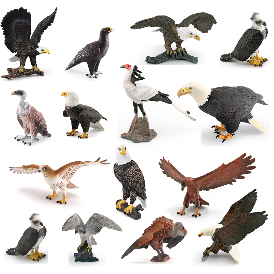 Kids Toys China - Figurines d'animaux sauvages réalistes, oiseaux de