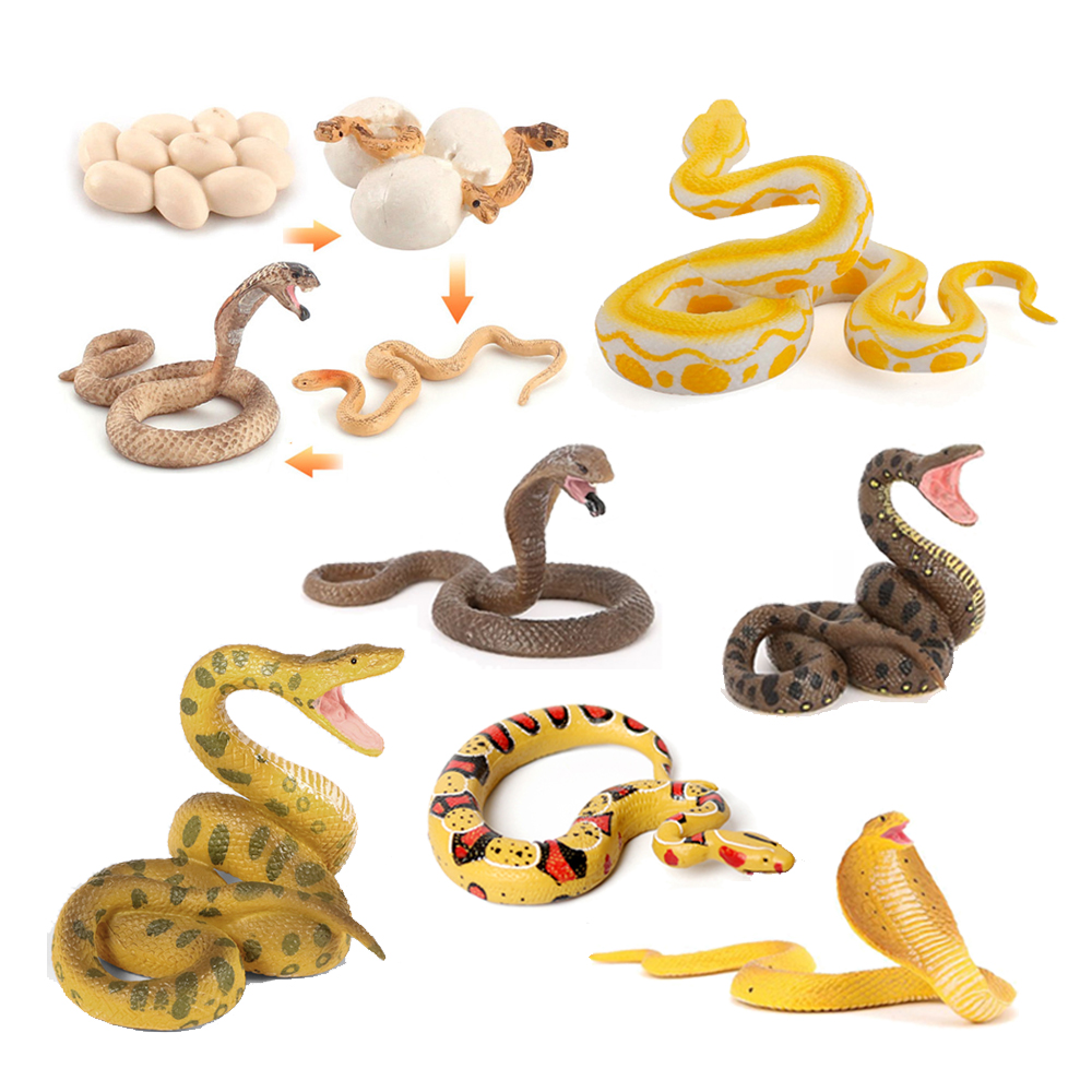 Kids Toys Reviews - Figurines de serpents Python Krait Cobra