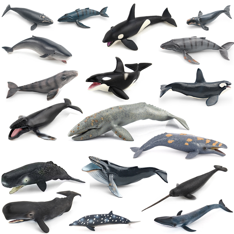 Kids Toys China - Figurines Réalistes de Baleines (Mors, Narval,