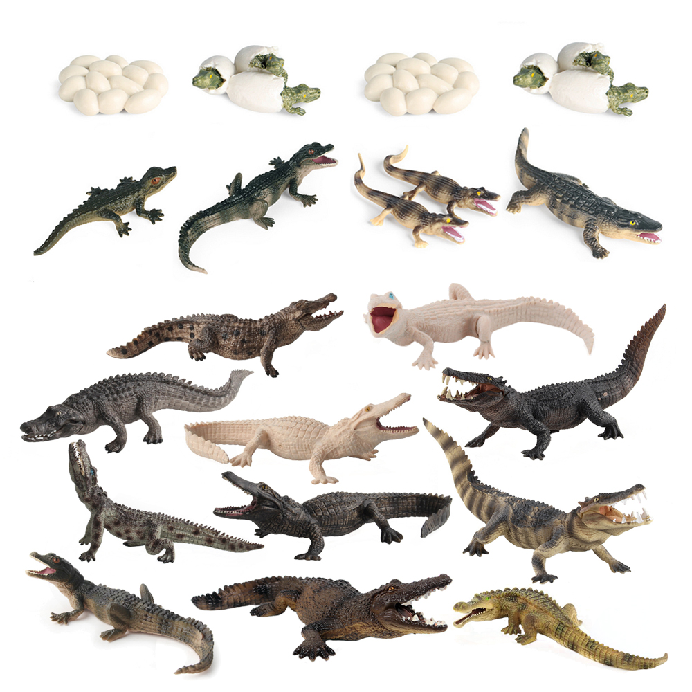 Kids Toys Reviews - Jouet de crocodile Figure jouets Alligator