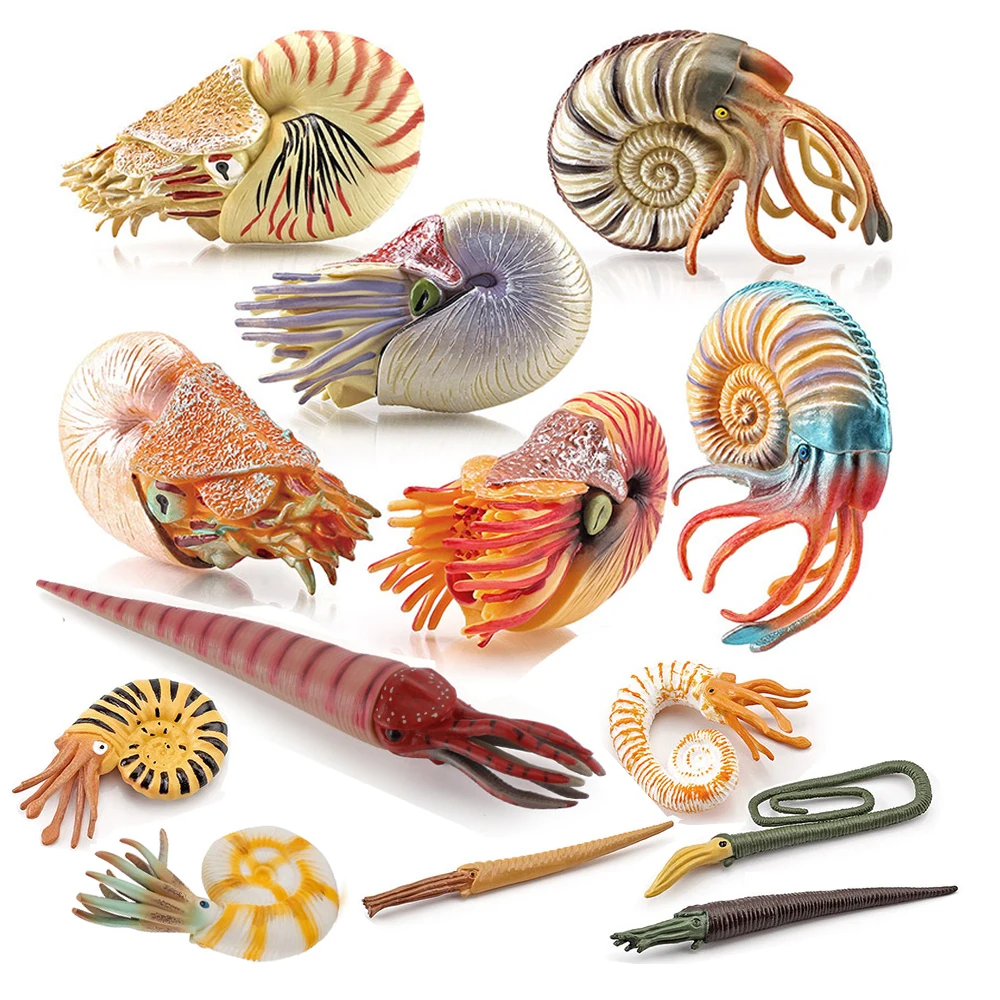 Kids Toys Reviews - Figurines d'animaux marins : Nautilus, Cameroceras,
