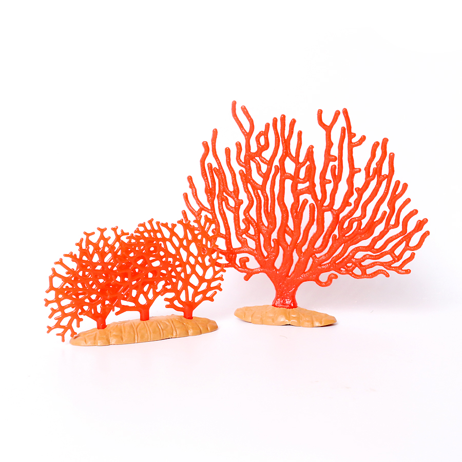 Anémones de mer en corail réal - Kids Toys China avis et prix