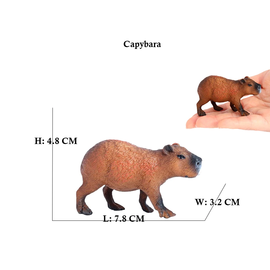 Capibara Capybaras écureuil ma - Kids Toys Reviews avis et prix