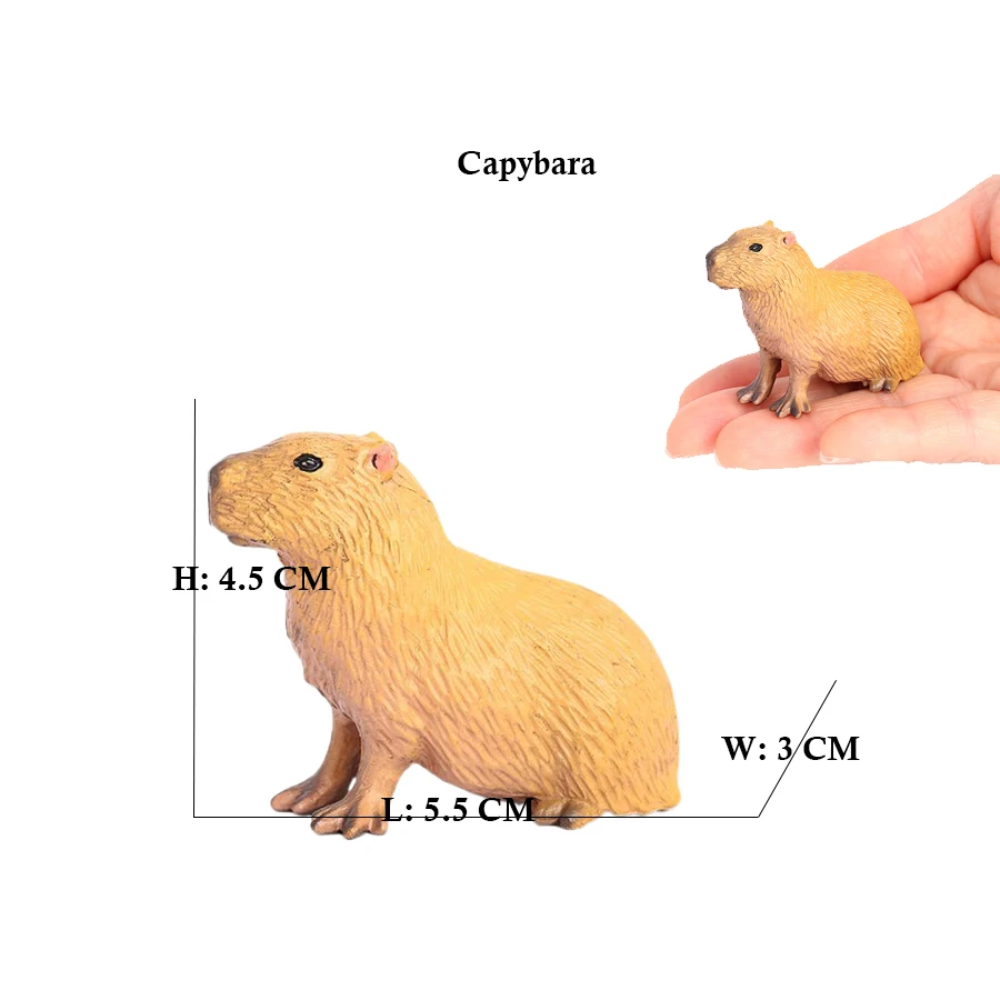 Capibara Capybaras écureuil ma - Kids Toys Reviews avis et prix
