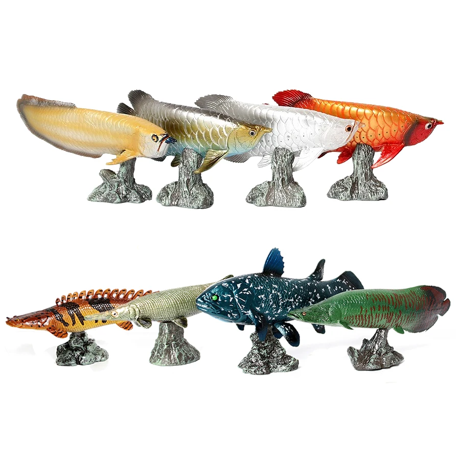 Modèles de poissons Arowana, P - Kids Toys Reviews avis et prix