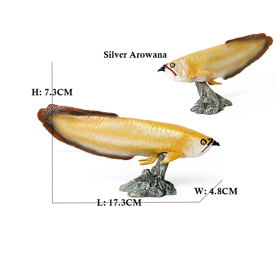 Modèles de poissons Arowana, P - Kids Toys Reviews avis et prix