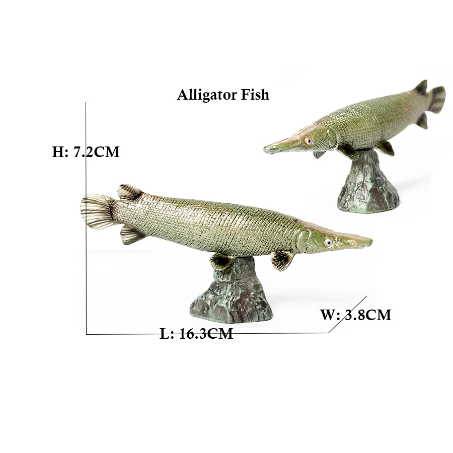 Modèles de poissons Arowana, P - Kids Toys Reviews avis et prix