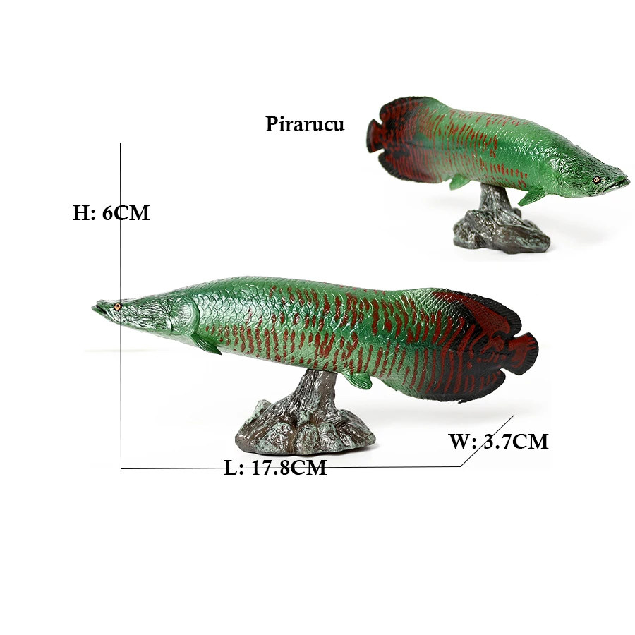 Modèles de poissons Arowana, P - Kids Toys Reviews avis et prix