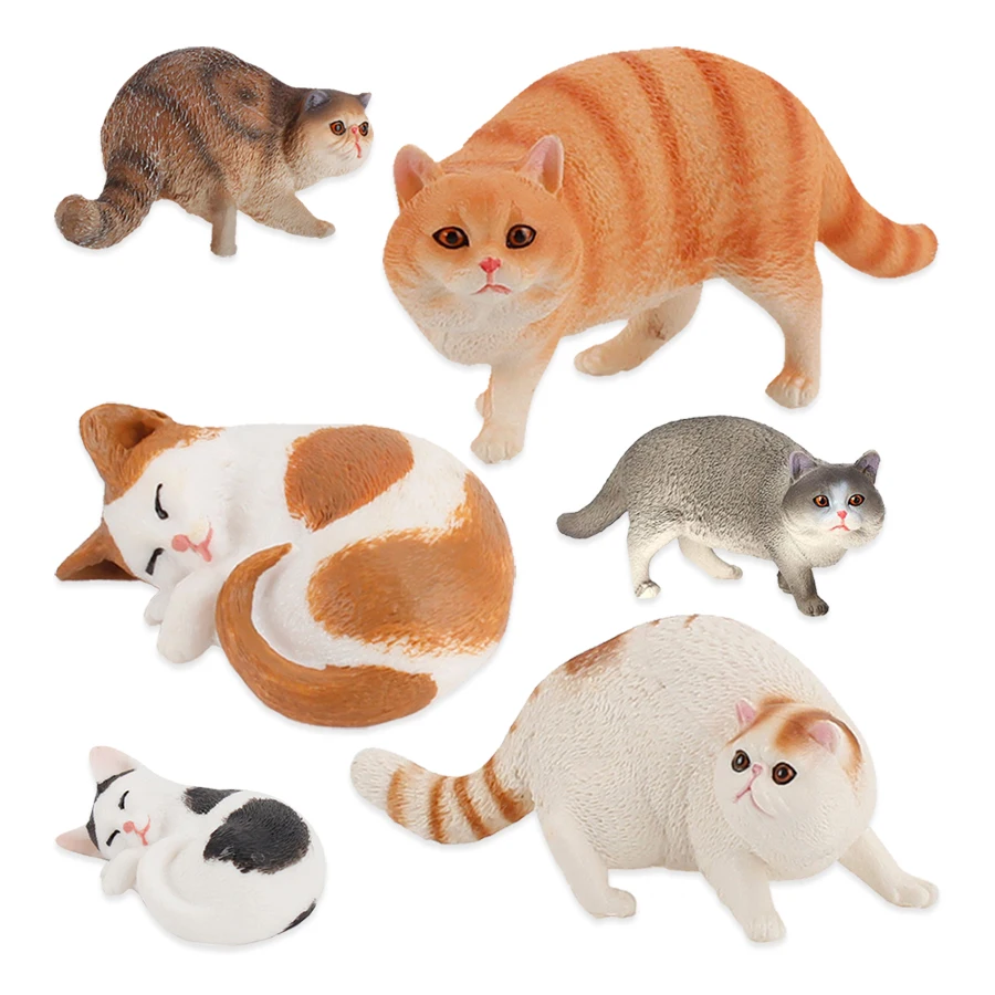 Jouets modèles de chats, anima - Kids Toys Reviews avis et prix