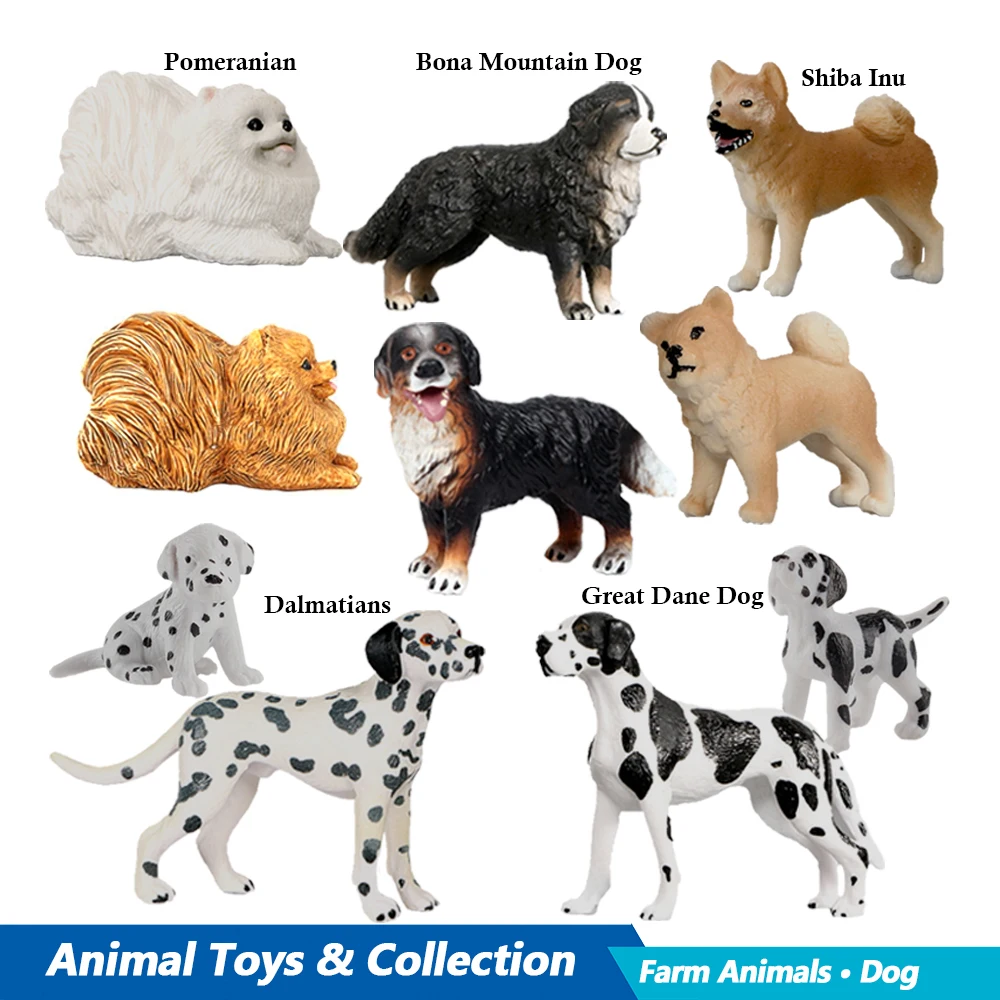 Labrador caniche Rottweiler Bo - Kids Toys Reviews avis et prix