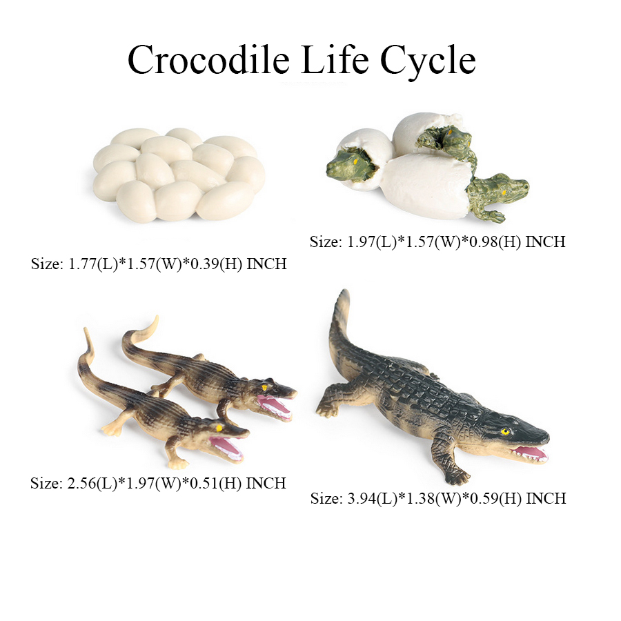Jouet de crocodile Figure joue - Kids Toys Reviews avis et prix