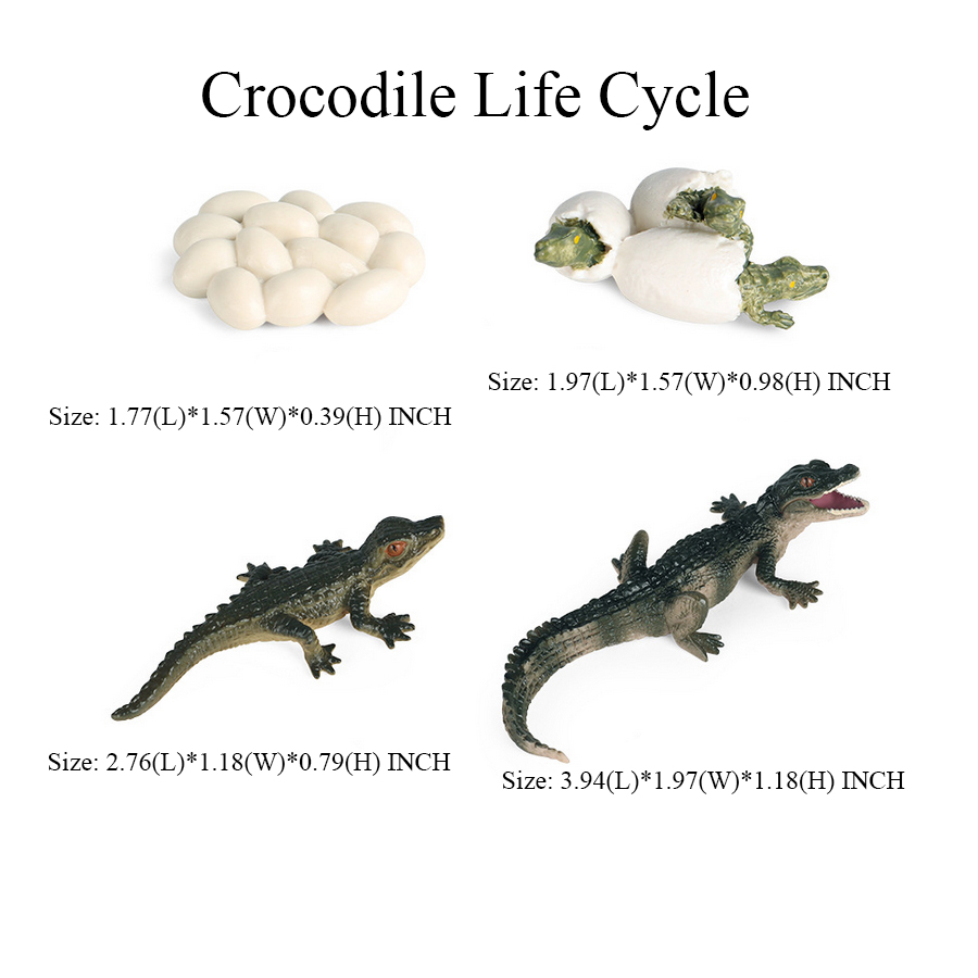 Jouet de crocodile Figure joue - Kids Toys Reviews avis et prix