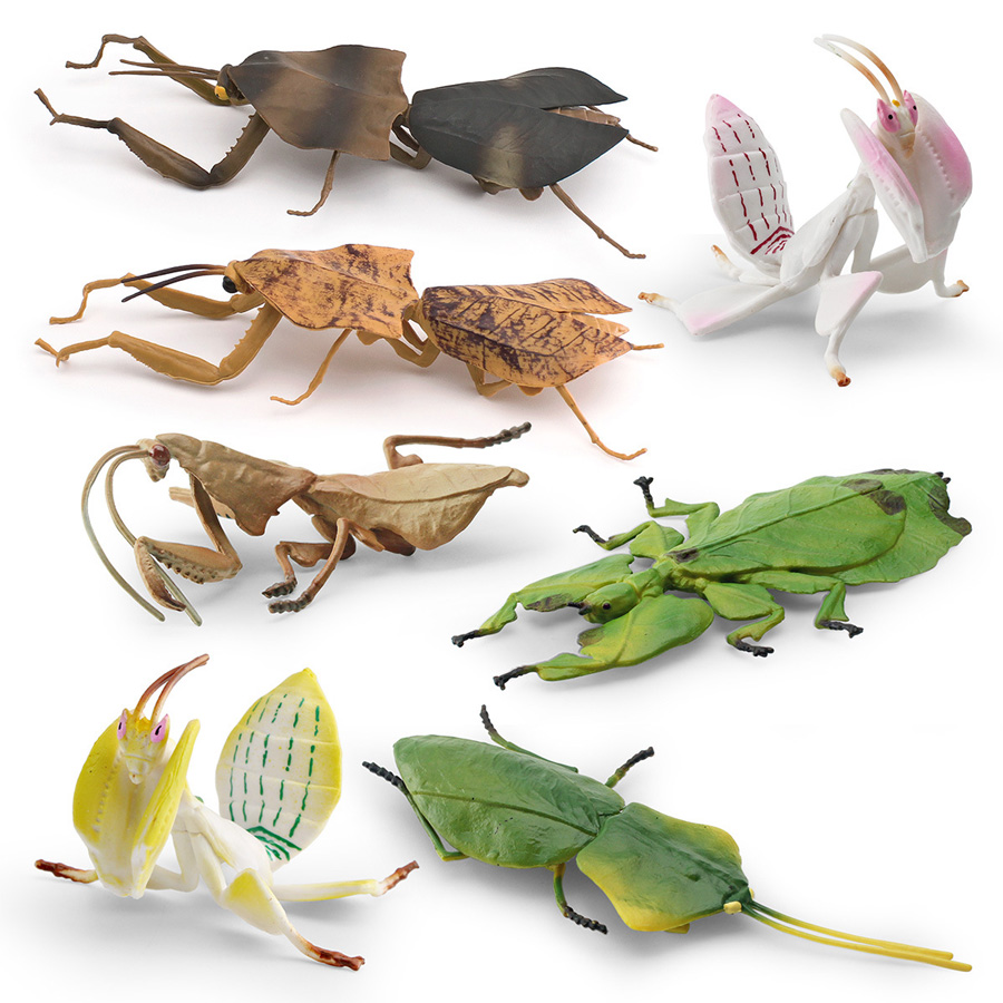 Modèle réaliste de Mantis Orch - Kids Toys China avis et prix