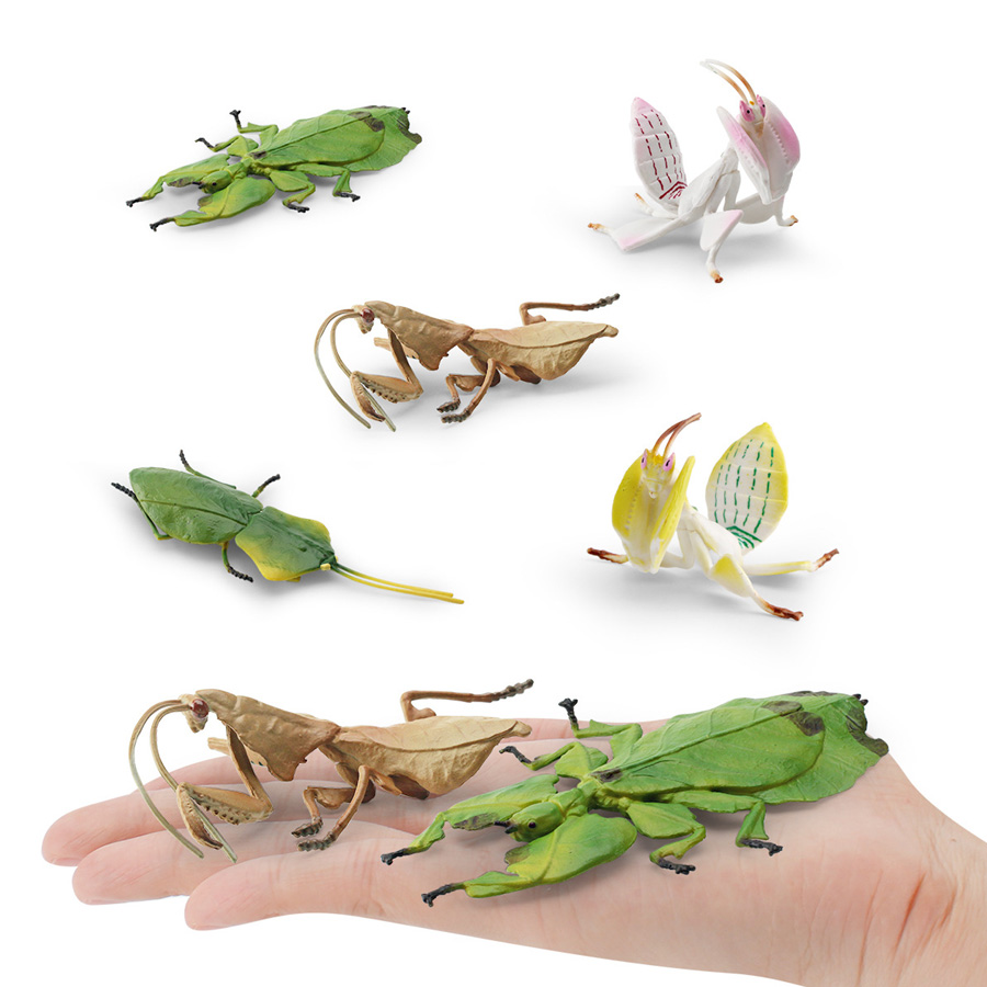 Modèle réaliste de Mantis Orch - Kids Toys China avis et prix